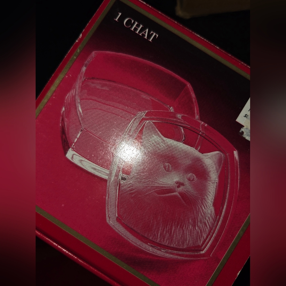Cat-Themed Trinket Box